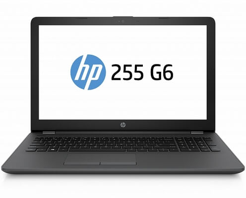 Замена петель на ноутбуке HP 255 G6 1WY10EA